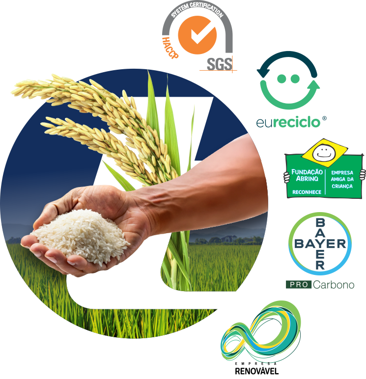 Certificações Trevisan