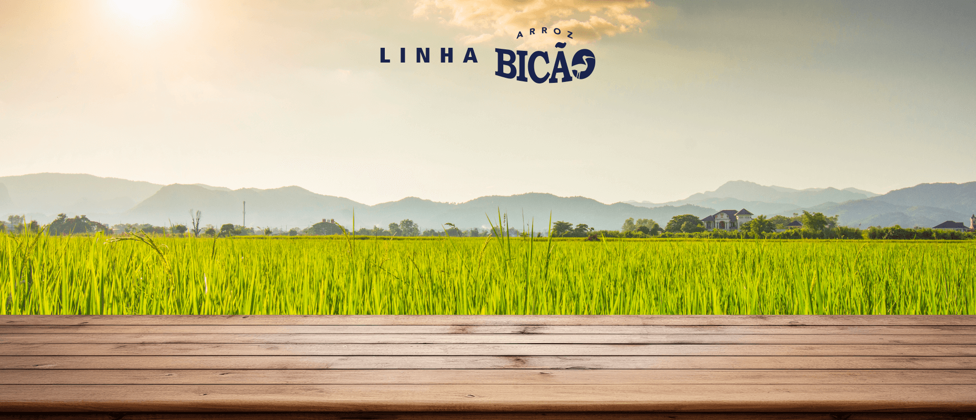 Arroz Bicão Polido Fora de Tipo