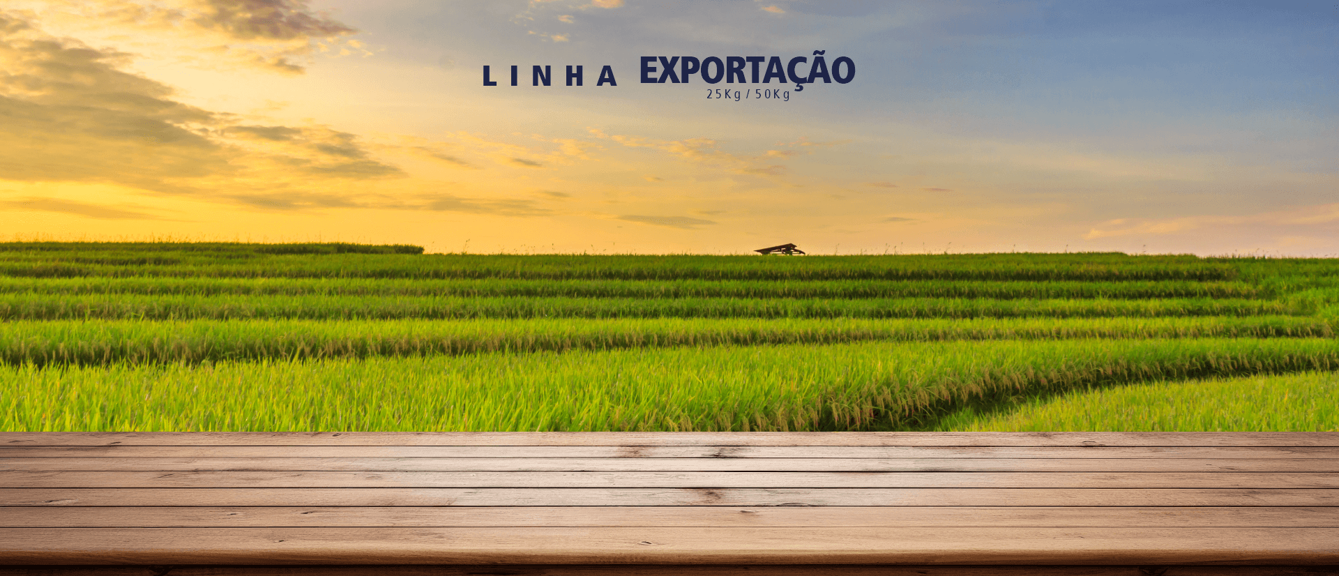 Arroz Ouro Branco Polido T1 25kg