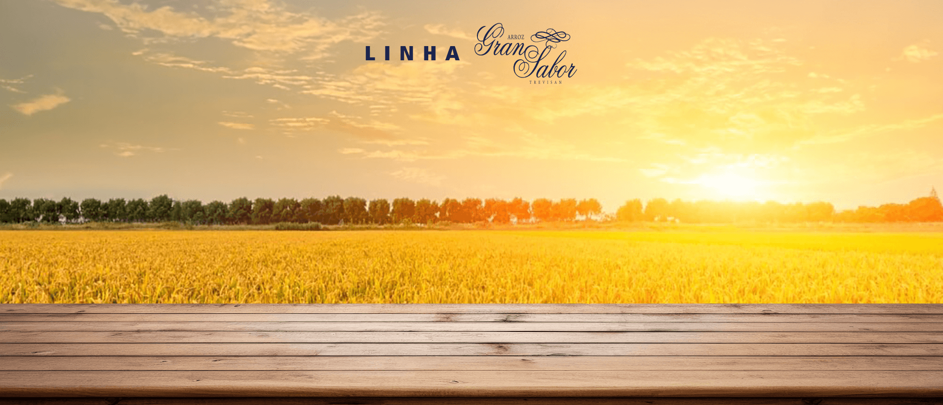 Arroz Branco Gran Sabor Trevisan T1