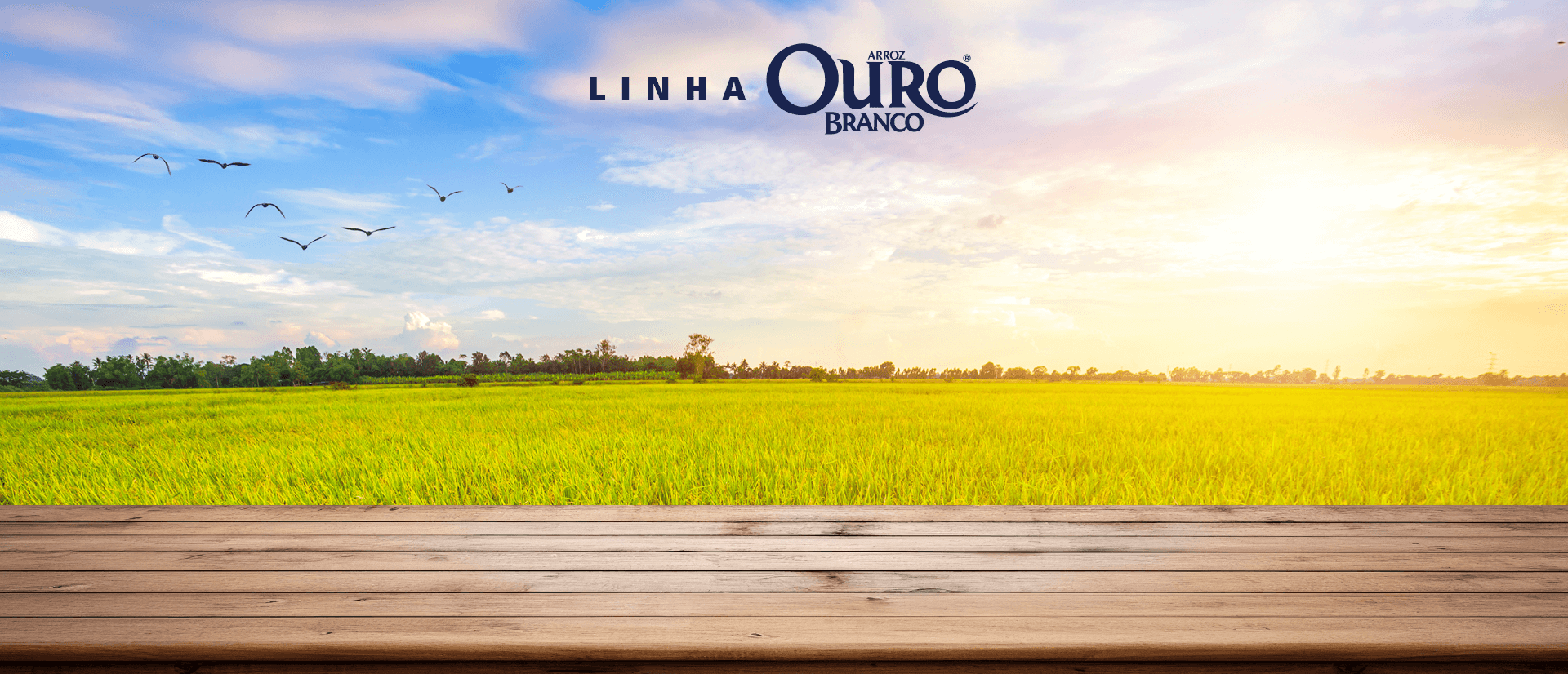 Arroz Ouro Branco Parboilizado Integral T1