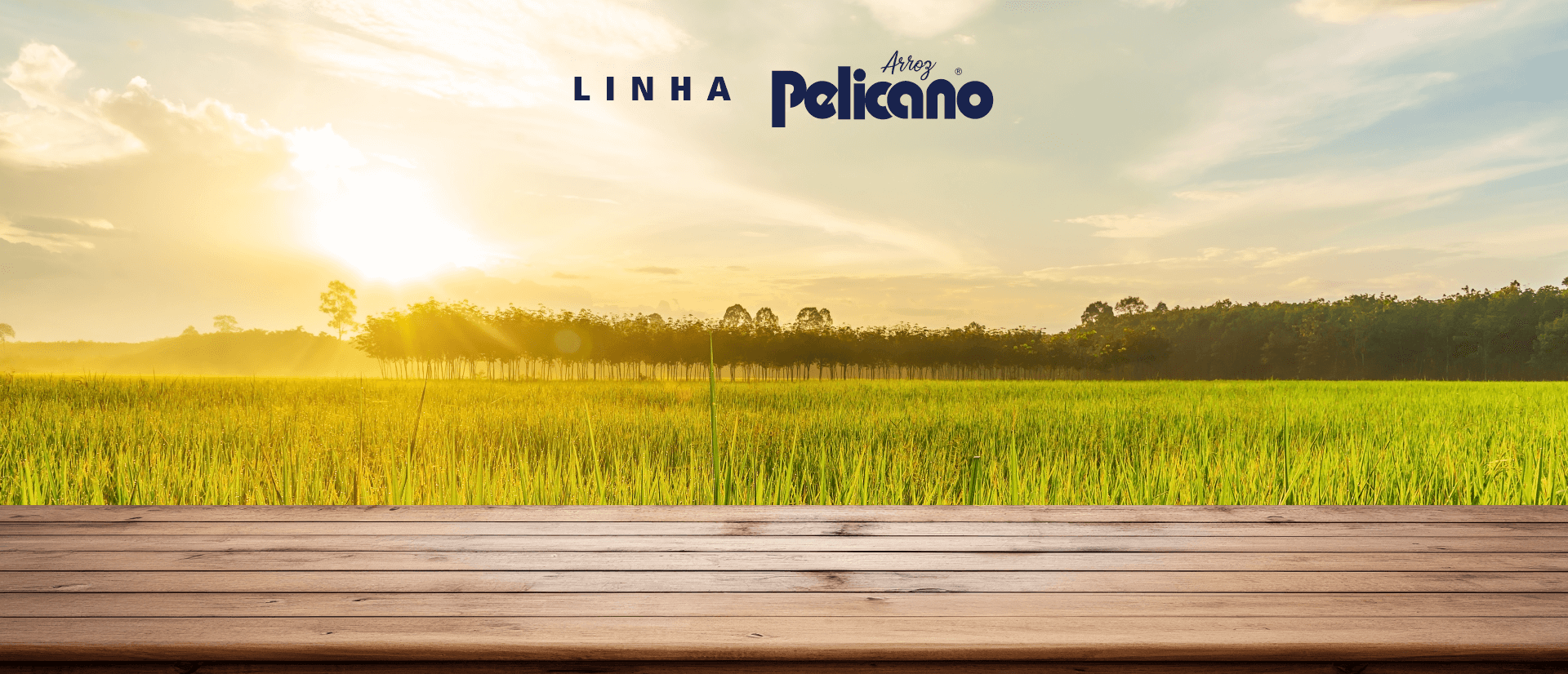 Arroz Pelicano Polido T1